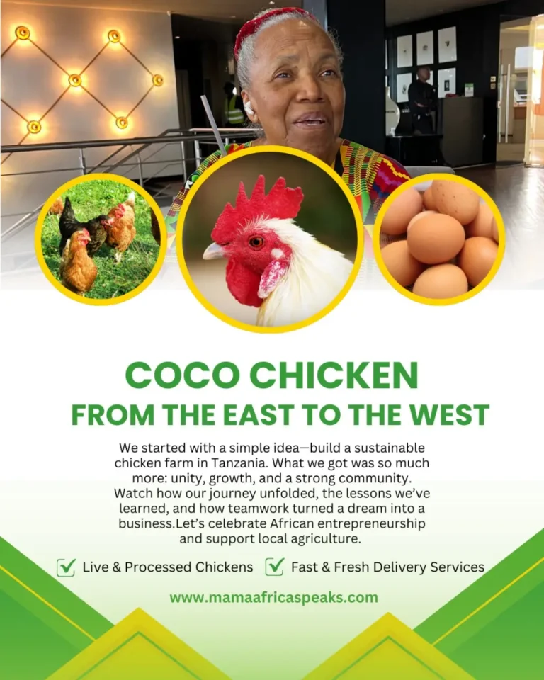 Celebrating African Entrepreneurship: The Coco Chicken Story